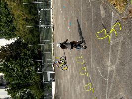 IMG_9516.jpg
